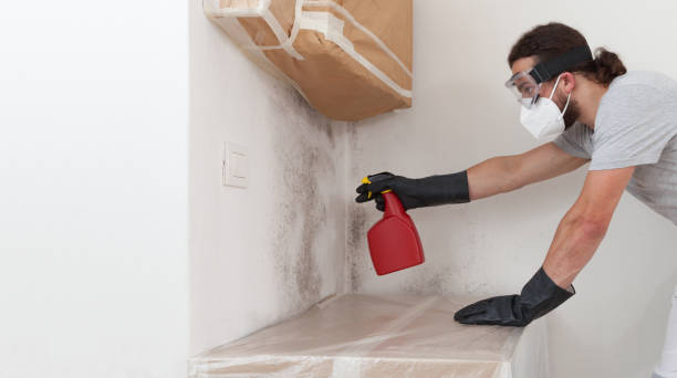 Professional Mold Testing technician working in Cedarville, MI