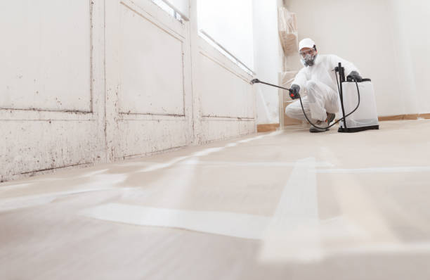 24/7 Emergency Mold Testing experts in Cedarville, MI