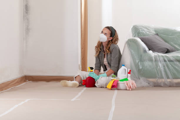 Reliable Mold Cleanup contractor in Cedarville, MI by Cheap Mold Removal